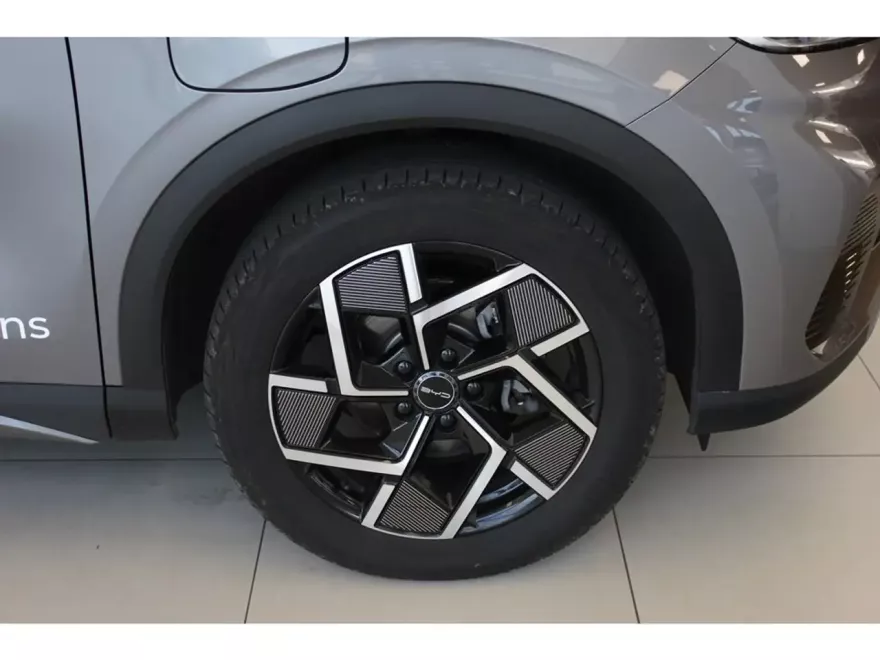 BYD 