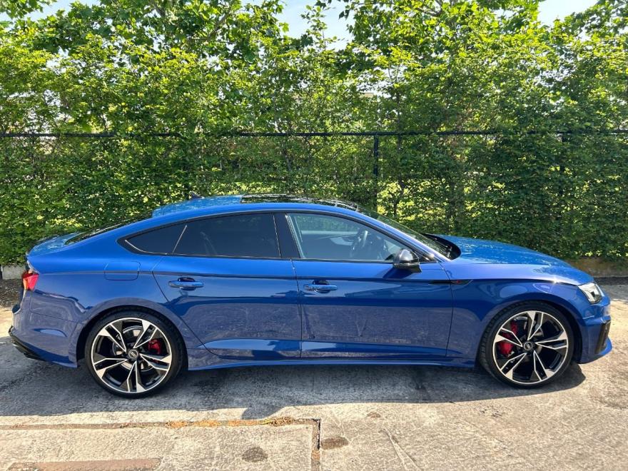 Audi A5 SportBack 40 TDI


Extra opties en pakketten:
-S-line exterieur
-S-line interieur
-pano dak


Interieur en Comfort:

Multimedia:

Veiligheid en verlichting:



Wiel en toebehoren:


Volledige service historiek aanwezig
Ongeval-kras-rook-huisdiervrij
1jaar garantie, keuring +carpass inbegrepen
BTW aftrekbaar
Financiering mogelijk
Bezichtiging/testrit enkel na afspraak

On parle français
We speak english
Wir sprechen deutsch


VIAR-MOTORS
Tel: +32497499272